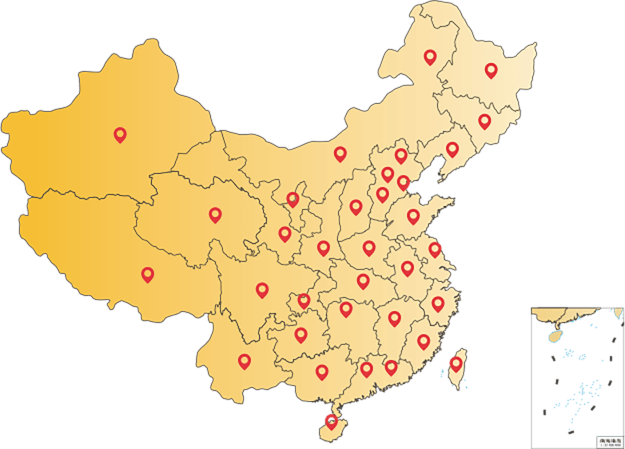 Domestic Sales Outlets