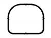 Intake Manifold Gasket:11 61 7 528 584
