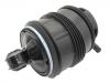 Boot, Air Suspension:211 320 08 25