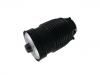 Boot, Air Suspension:205 320 01 25