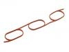Intake Manifold Gasket:11 61 1 740 069