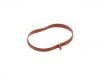 Intake Manifold Gasket:271 141 08 80