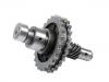 Intermediate Gear:102 050 09 06