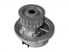 Water pump:980059