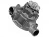 Water pump:364 200 20 01