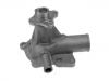Water Pump:5 013 274