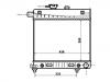 Radiator:202 500 61 03