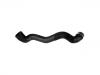 Radiator Hose:203 501 02 82