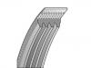 V-Ribbed Belt:4 PK 865