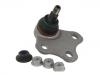 Ball Joint:8J0 407 366