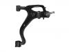 Control Arm:RBJ 500446