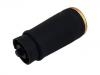Boot, Air Suspension:37 12 6 750 356