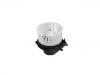 Blower motor:000 835 60 07