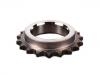 Crankshaft Gear:11 31 7 502 180