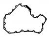 Oil Pan Gasket:11 13 7 570 705