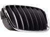 Grille Assembly:51 13 7 157 688
