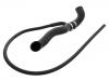 Radiator Hose:202 501 49 82