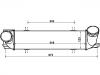 Intercooler:17 51 7 540 035