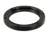 Crankshaft Oil Seal:079 103 051 G