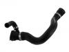Radiator Hose:11 53 7 789 718