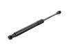 Gas Spring:51 24 2 990 136
