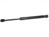 Gas Spring:51 23 7 289 753