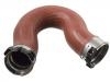 Intake Pipe:906 528 50 82