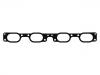 Intake Manifold Gasket:4628226