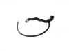 Radiator Hose:209 501 06 82