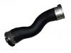 Intake Pipe:11 61 7 810 796