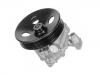 Power Steering Pump:002 466 38 01