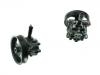 Power Steering Pump:QVB500390