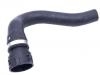 Radiator Hose:4F0 121 101 G