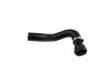 Radiator Hose:4F0 121 055 E
