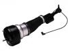 Boot, Air Suspension:221 320 05 38