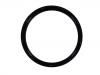Crankshaft Oil Seal:11 14 8 602 594