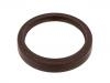 Oil Seal:902 997 01 46