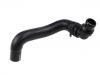 Radiator Hose:203 830 05 96