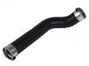Radiator Hose:447 528 04 82