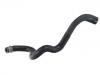 Radiator Hose:221 501 02 82