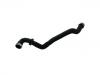 Radiator Hose:164 500 58 75