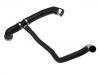 Radiator Hose:221 501 27 91