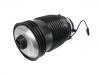 Boot, Air Suspension:213 320 01 25