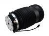 Boot, Air Suspension:213 320 02 25