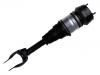 Boot, Air Suspension:166 320 74 13