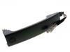 Door Handle:LR020810
