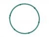 Intake Manifold Gasket:31370167