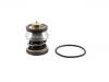 Thermostat:11 53 8 576 288