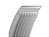 V-Ribbed Belt:7PK1629