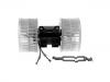 Blower motor:1248201308